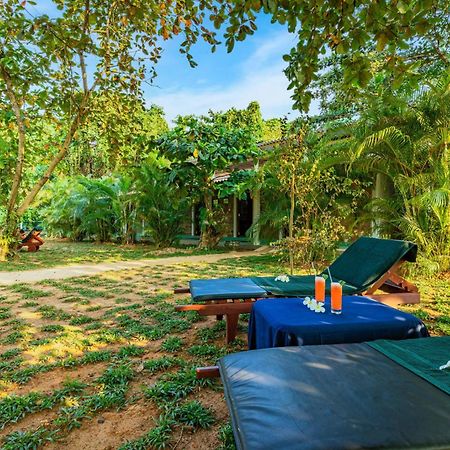 Sath Villa Naadi Ayurveda Resort Moragalla Exterior foto