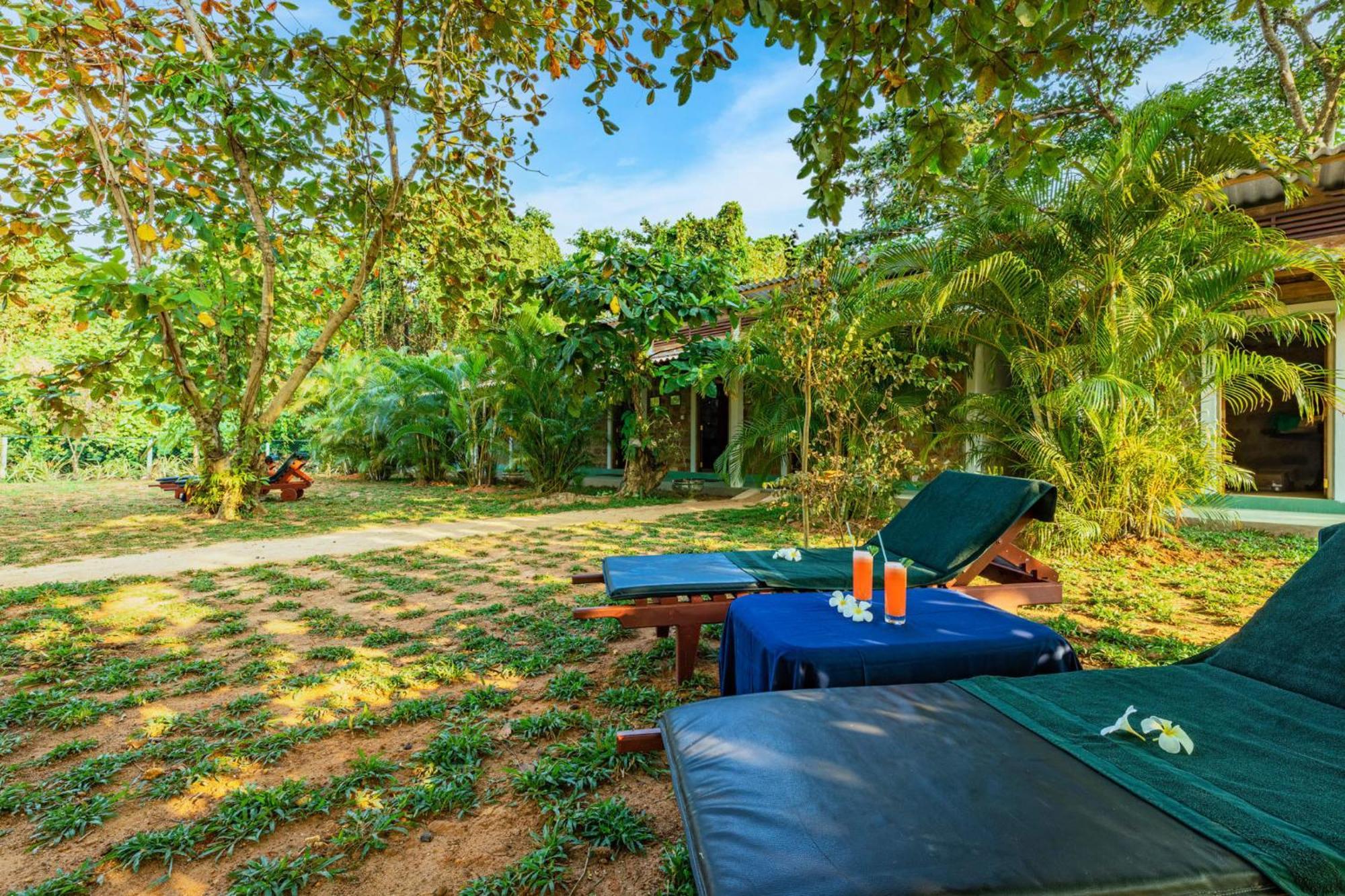 Sath Villa Naadi Ayurveda Resort Moragalla Exterior foto